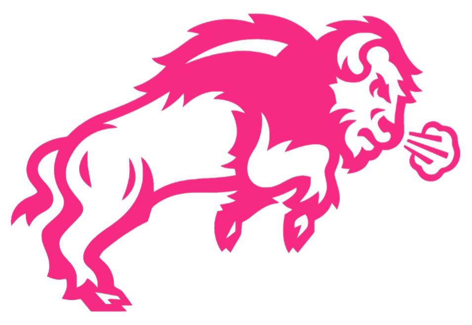 North Dakota State Bison HOT PINK Team Logo Premium DieCut Vinyl Decal PICK SIZE