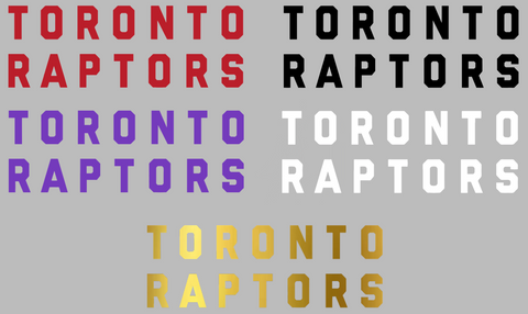 Toronto Raptors Team Name Logo Premium DieCut Vinyl Decal PICK COLOR & SIZE