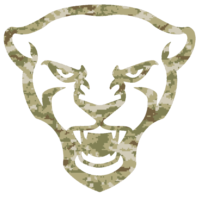 Pittsburgh Panthers Mascot Logo Salute to Service Camouflage Camo Vinyl Decal PICK SIZE