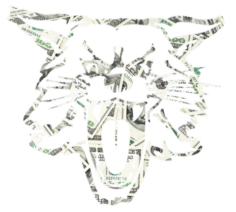 Kentucky Wildcats Retro Throwback Mascot Logo Money Print Premium DieCut Vinyl Decal PICK SIZE