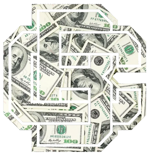 Bethune Cookman Wildcats Team Logo Money Print Vinyl Decal PICK SIZE