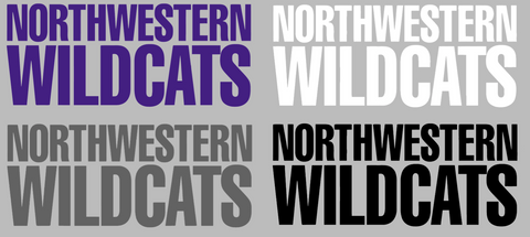 Northwestern Wildcats Team Name Logo Premium DieCut Vinyl Decal PICK COLOR & SIZE