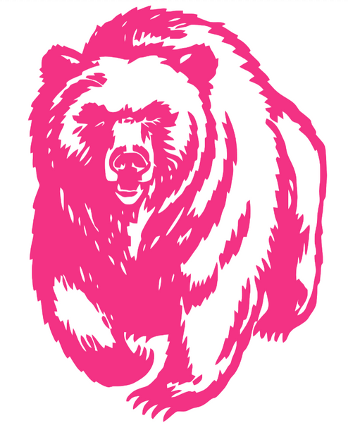 Montana Grizzlies HOT PINK Team Logo Premium DieCut Vinyl Decal PICK SIZE