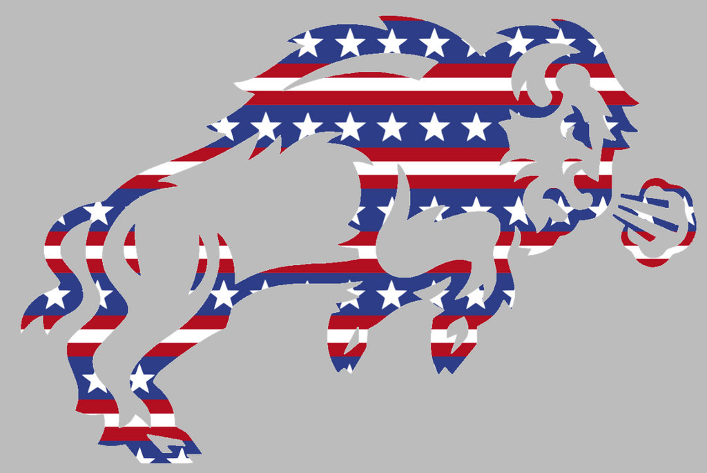 North Dakota State Bison Team Logo Stars & Stripes USA American Flag Vinyl Decal PICK SIZE