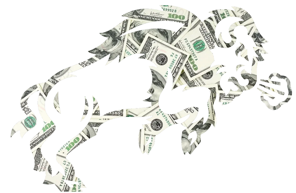 North Dakota State Bison Team Logo Money Print Premium DieCut Vinyl Decal PICK SIZE