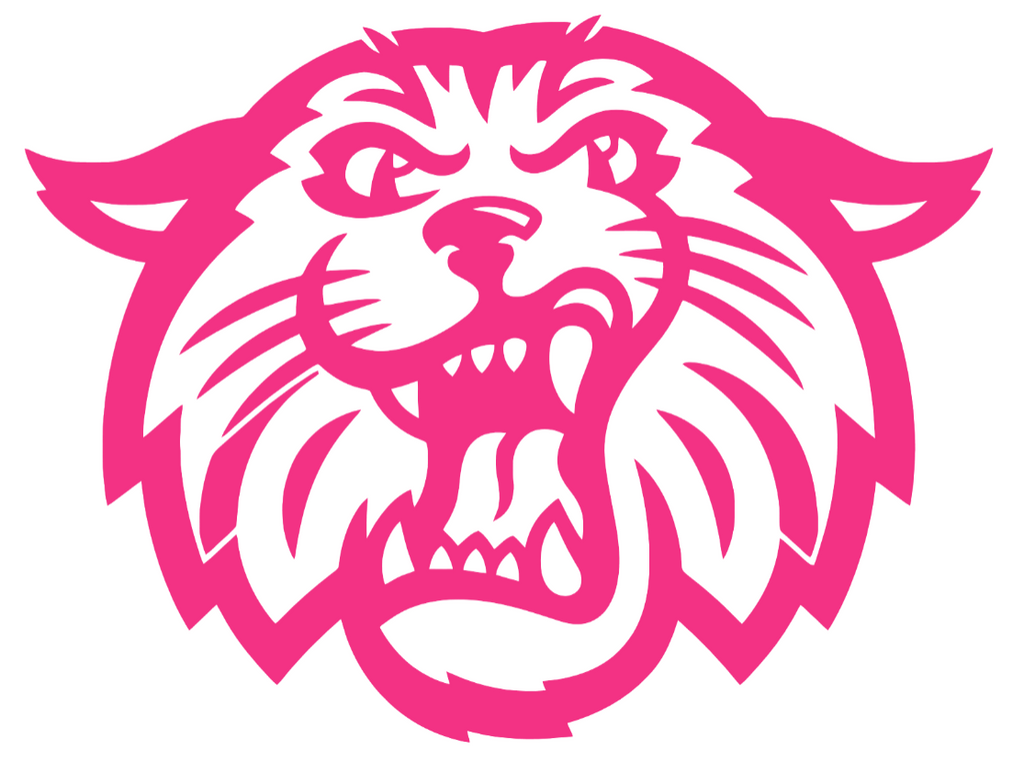 Villanova Wildcats HOT PINK Mascot Logo Premium DieCut Vinyl Decal PICK SIZE