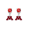 Minnesota Gophers RED Swarovski Crystal Stud Rhinestone Earrings