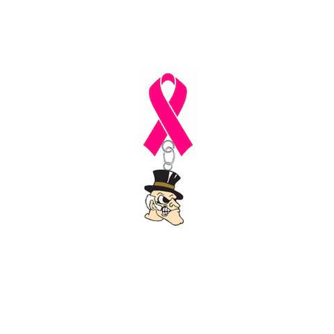 Wake Forest Demon Deacons Breast Cancer Awareness / Mothers Day Pink Ribbon Lapel Pin
