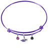 Wisconsin Whitewater Warhawks PURPLE Color Edition Expandable Wire Bangle Charm Bracelet