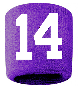 Number 14 Custom Purple w/ White #'s Sweatband Wristband Embroidered Stitched
