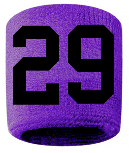 Number 29 Custom Purple w/ Black #'s Sweatband Wristband Embroidered Stitched