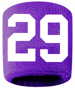 Number 29 Custom Purple w/ White #'s Sweatband Wristband Embroidered Stitched