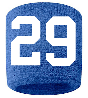 Number 29 Custom Royal Blue w/ White #'s Sweatband Wristband Embroidered Stitched