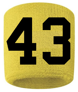 Number 43 Custom Yellow w/ Black #'s Sweatband Wristband Embroidered Stitched - SportsJewelryProShop