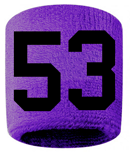 Number 53 Custom Purple w/ Black #'s Sweatband Wristband Embroidered Stitched - SportsJewelryProShop