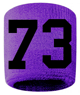 Number 73 Custom Purple w/ Black #'s Sweatband Wristband Embroidered Stitched