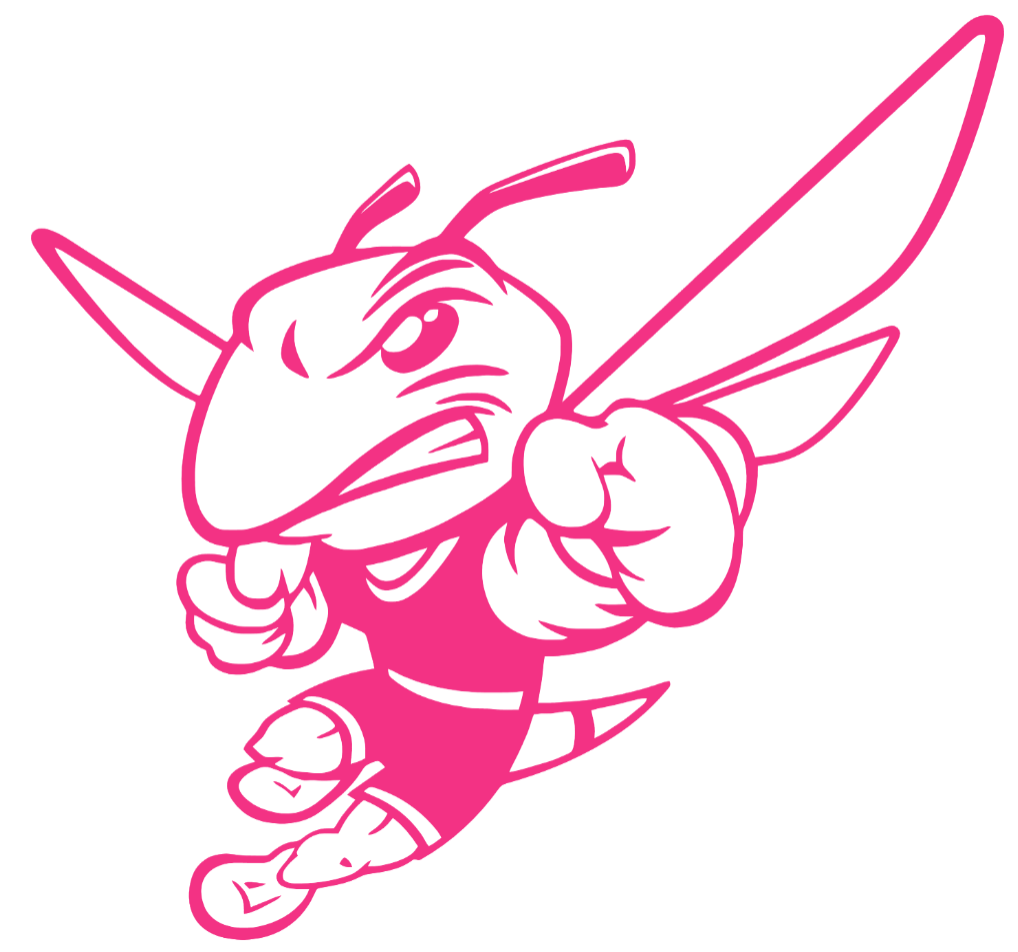 AIC Yellow Jackets HOT PINK Team Logo Premium DieCut Vinyl Decal PICK SIZE