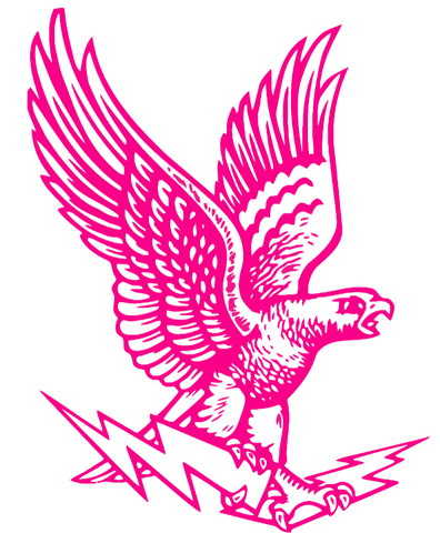 Air Force Falcons Hot Pink Retro Throwback Logo Premium DieCut Vinyl Decal PICK SIZE