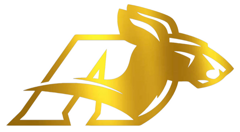 Akron Zips GOLD CHROME MIRROR Retro Throwback Logo Premium DieCut Vinyl Decal PICK SIZE