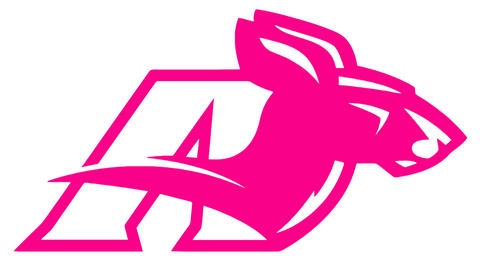 Akron Zips Hot Pink Retro Throwback Logo Premium DieCut Vinyl Decal PICK SIZE