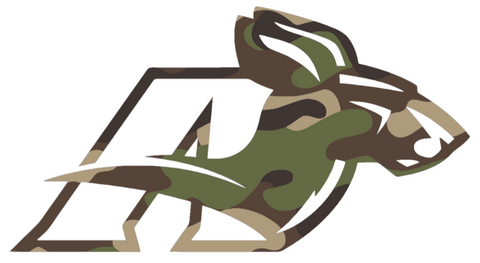 Akron Zips Woodland Camo Camouflage Retro Throwback Logo Premium DieCut Vinyl Decal PICK SIZE
