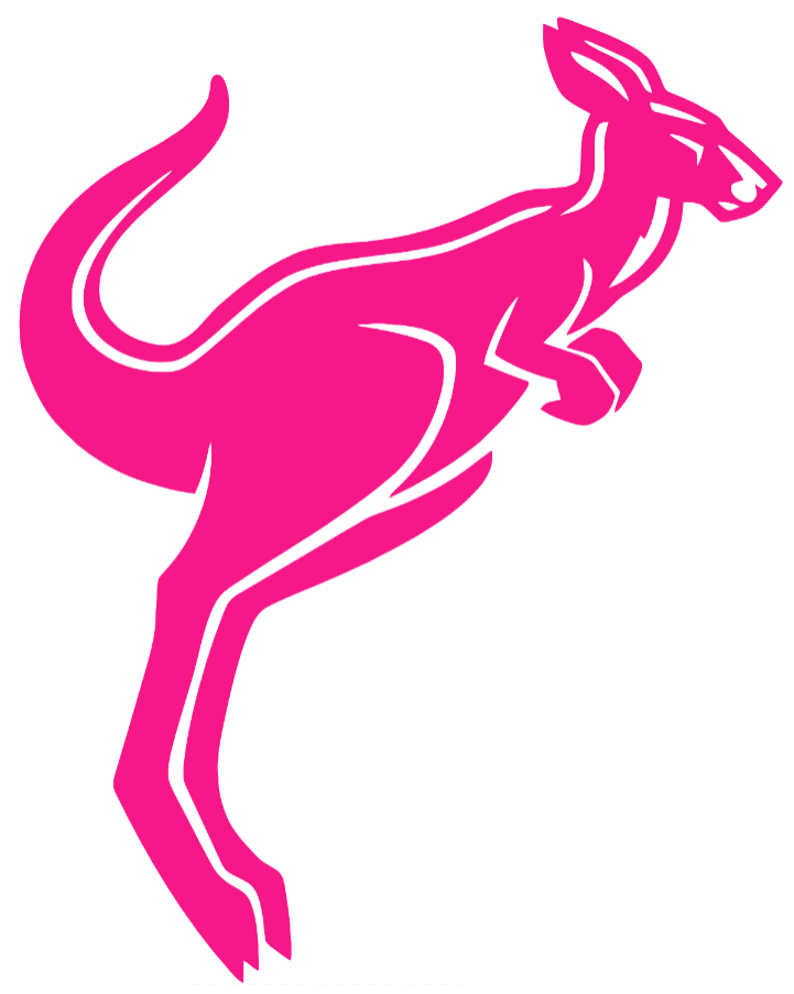 Akron Zips Hot Pink Retro Throwback Logo Premium DieCut Vinyl Decal PICK SIZE