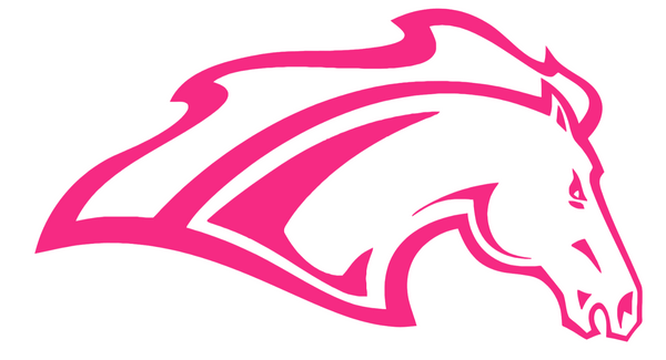 Alabama Huntsville Chargers HOT PINK Team Logo Premium DieCut Vinyl Decal PICK SIZE