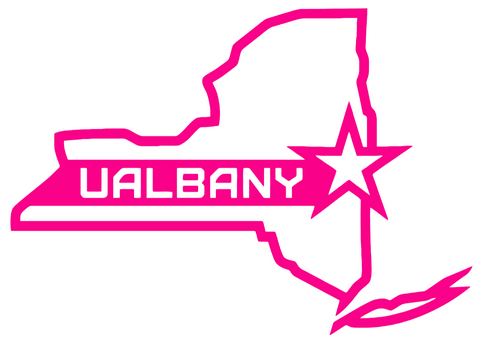 Albany Great Danes Hot Pink NY State Logo Premium DieCut Vinyl Decal PICK SIZE