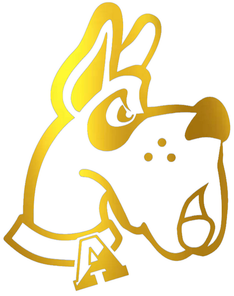 Albany Great Danes GOLD CHROME MIRROR Retro Throwback Logo Premium DieCut Vinyl Decal PICK SIZE