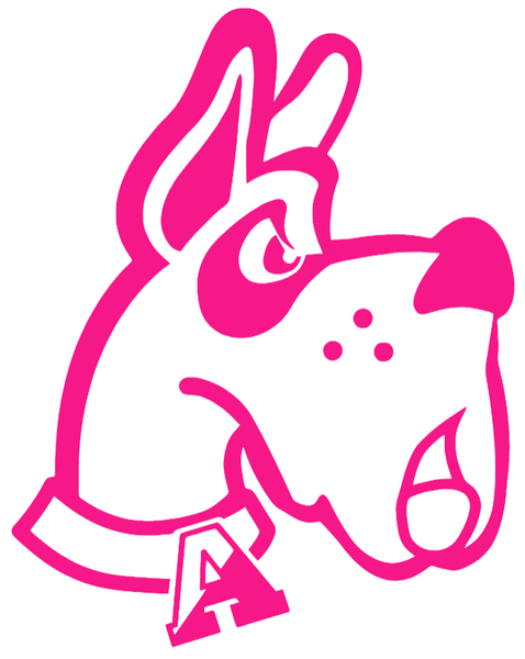 Albany Great Danes Hot Pink Retro Throwback Logo Premium DieCut Vinyl Decal PICK SIZE