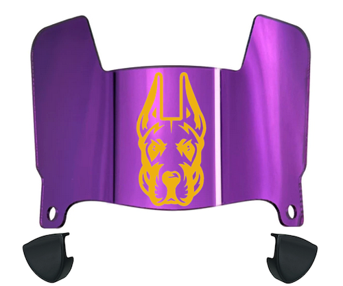 Albany Great Danes Mini Football Helmet Visor Shield w/ Clips - PICK VISOR & LOGO COLOR