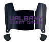 Albany Great Danes Mini Football Helmet Visor Shield w/ Clips - PICK VISOR & LOGO COLOR