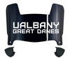 Albany Great Danes Mini Football Helmet Visor Shield w/ Clips - PICK VISOR & LOGO COLOR