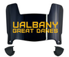 Albany Great Danes Mini Football Helmet Visor Shield w/ Clips - PICK VISOR & LOGO COLOR