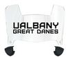 Albany Great Danes Mini Football Helmet Visor Shield w/ Clips - PICK VISOR & LOGO COLOR
