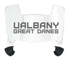 Albany Great Danes Mini Football Helmet Visor Shield w/ Clips - PICK VISOR & LOGO COLOR