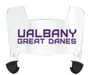 Albany Great Danes Mini Football Helmet Visor Shield w/ Clips - PICK VISOR & LOGO COLOR