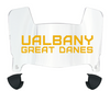 Albany Great Danes Mini Football Helmet Visor Shield w/ Clips - PICK VISOR & LOGO COLOR
