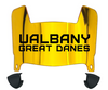 Albany Great Danes Mini Football Helmet Visor Shield w/ Clips - PICK VISOR & LOGO COLOR