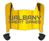 Albany Great Danes Mini Football Helmet Visor Shield w/ Clips - PICK VISOR & LOGO COLOR