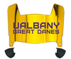 Albany Great Danes Mini Football Helmet Visor Shield w/ Clips - PICK VISOR & LOGO COLOR