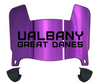 Albany Great Danes Mini Football Helmet Visor Shield w/ Clips - PICK VISOR & LOGO COLOR