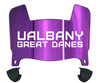 Albany Great Danes Mini Football Helmet Visor Shield w/ Clips - PICK VISOR & LOGO COLOR