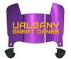 Albany Great Danes Mini Football Helmet Visor Shield w/ Clips - PICK VISOR & LOGO COLOR