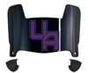 Albany Great Danes Mini Football Helmet Visor Shield w/ Clips - PICK VISOR & LOGO COLOR