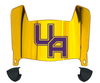 Albany Great Danes Mini Football Helmet Visor Shield w/ Clips - PICK VISOR & LOGO COLOR