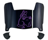 Albany Great Danes Mini Football Helmet Visor Shield w/ Clips - PICK VISOR & LOGO COLOR