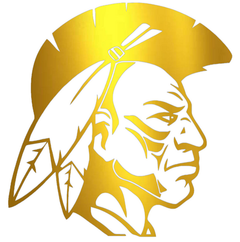 Alcorn State Braves GOLD CHROME MIRROR Mascot Logo Premium DieCut Vinyl Decal PICK SIZE