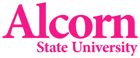 Alcorn State Braves Hot Pink Team Name Logo Premium DieCut Vinyl Decal PICK SIZE