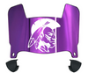 Alcorn State Braves Mini Football Helmet Visor Shield w/ Clips - PICK VISOR & LOGO COLOR